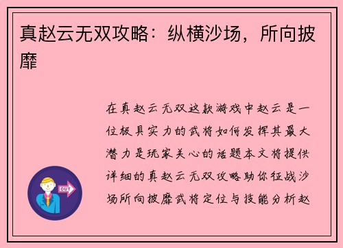 真赵云无双攻略：纵横沙场，所向披靡
